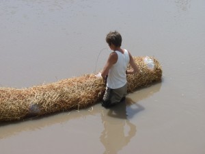 Barley Straw Bales - Prairie Legacy