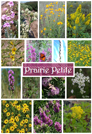 Prairie Legacy